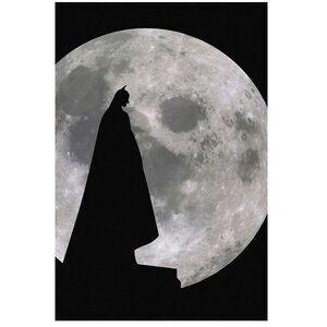 Batman Moon Movie Poster 165